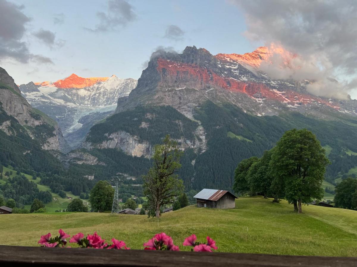 Hotel Bodmi Grindelwald Exterior foto